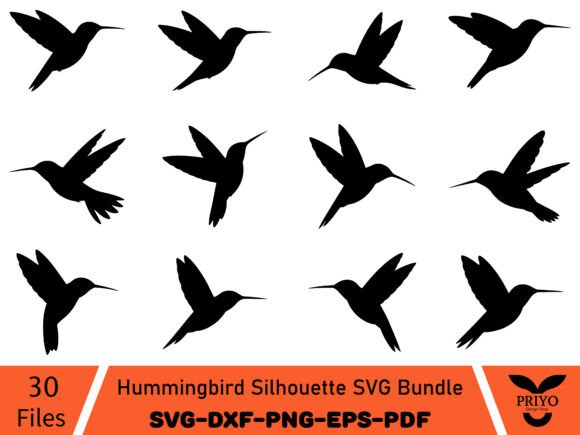 A Designer's Review: Hummingbird Graphics & Illustrations Bundle