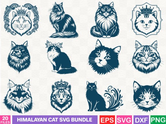 How Himalayan Cat Graphics Elevate Editorial Visuals
